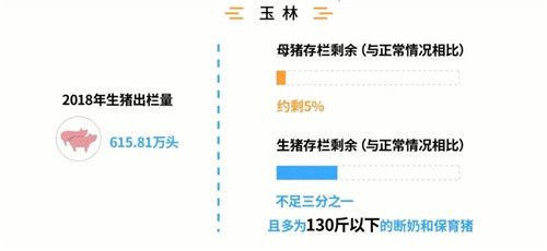 泰安市然然食品有限公司是双汇集团双汇冷鲜肉泰安市总经销，总代理。